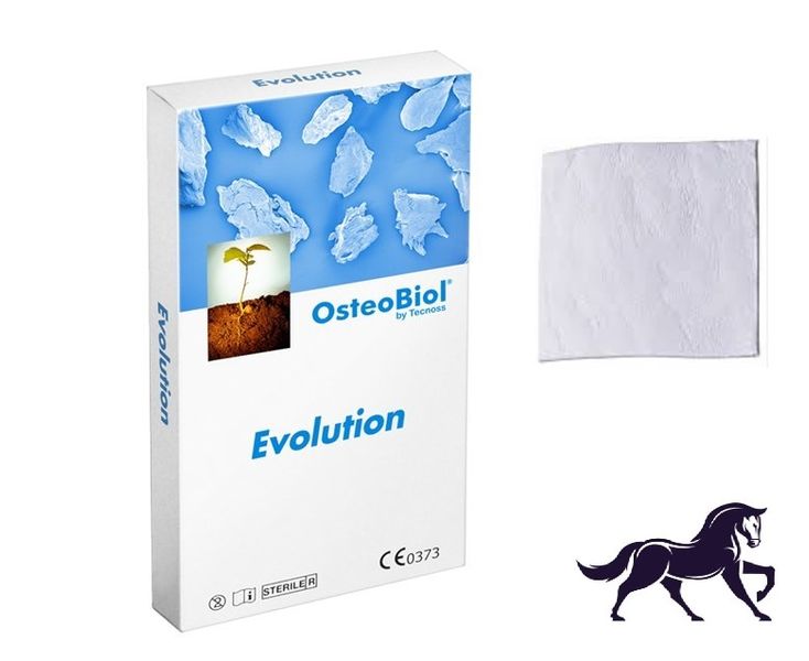 Evolution Fine (80x60x0,3 мм) OsteoBiol гетерологічна мезенхімальна тканина EV06LLE фото