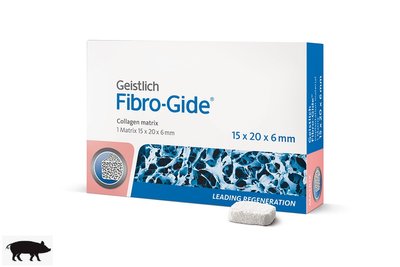 Fibro-Gide (15х20х6 мм) Geistlich колагенова матриця 500239 фото