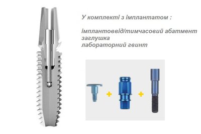 IMPLA Cylindrical Cone (∅ 3.6, L 8.0) Schütz Dental імплантат комплект 635770 фото