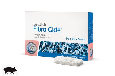 Fibro-Gide (20х40х6 мм) Geistlich колагенова матриця 500234 фото