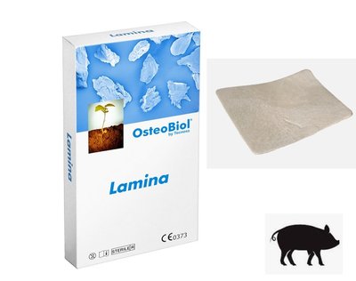 Lamina (25x25x0,5 мм) OsteoBiol колагенований кортикальний кістковий матеріал LS25FS фото