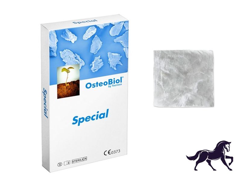 Special (20x20x0,2 мм) OsteoBiol гетерологічний перикард EM02LE фото
