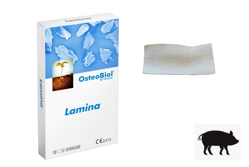 Lamina (20х40х0,9 мм) OsteoBiol колагенований кортикальний кістковий матеріал LS24LS фото