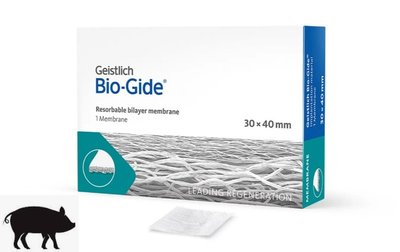 Bio-Gide (30x40 мм) Geistlich мембрана 500112 фото